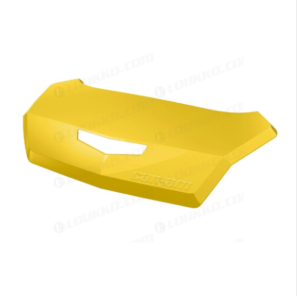 PANNEAUX JAUNES*PANEL YELLOW
